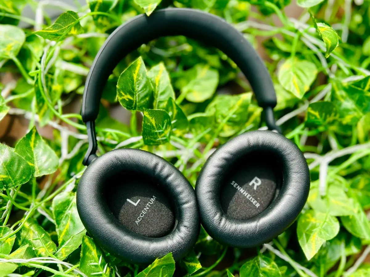 Best Budget Bluetooth Headphones Under $50 (2025)