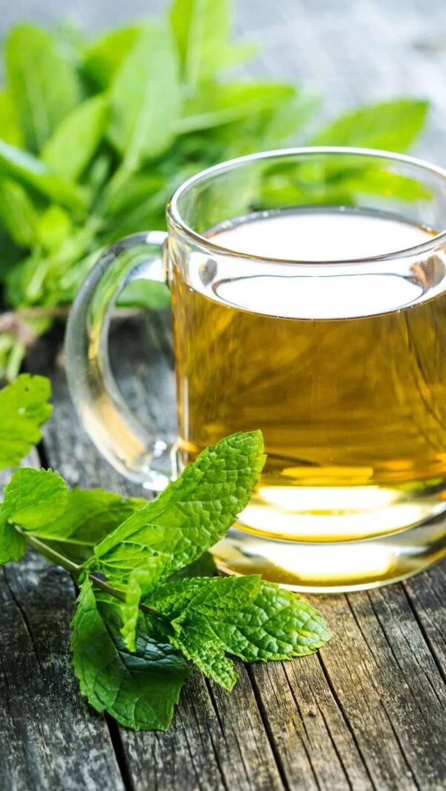 Herbal Tea Recipes to Support Immune Health (2)