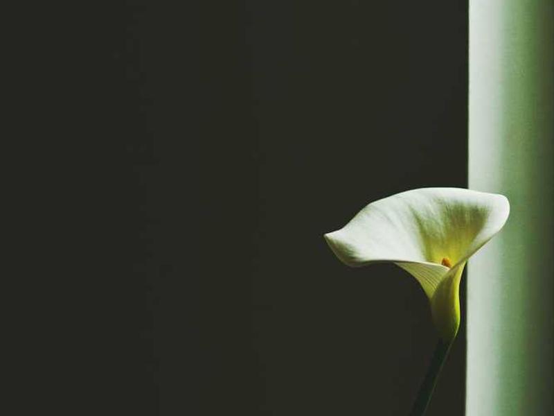 Reaching Tweet Limits (Twitter/X): Current Limits and Content Scheduling Solutions